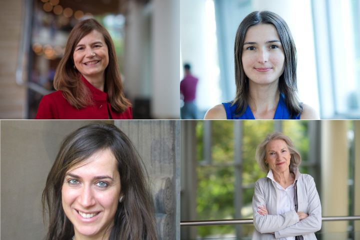 Professors Campbell, Charnysh, Christia, Thelen