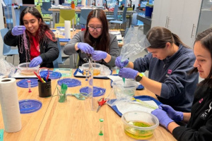 First year students on a visit to MIT Museum